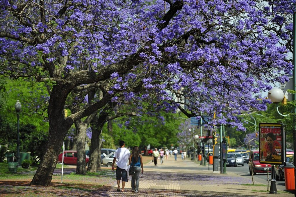 contagem regressiva primavera