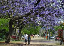 contagem regressiva primavera